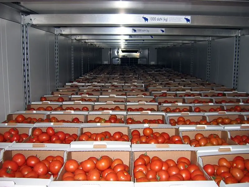 Perevozka tomatov - Tesco